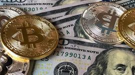 比特币冲击5万美元，数据告诉你牛市见顶了吗？_BTC:TIM