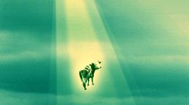 比特币算法进化为Schnorr签名算法是进步吗？| 考仔星选_SCH:ecd币还能涨价吗