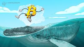 数据显示：自圣诞节以来，比特币鲸鱼的购买力度加大_比特币:AurusDeFi