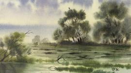 比特币跌破16500美元，现在是进场的好时机吗？_WHALE:Whale Token