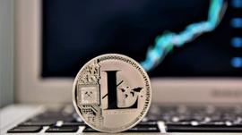 比特金莱特银，辣条今年会到100刀？_LTC:bcha币会暴涨吗