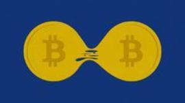 BCH硬分叉后，我们为你整理了一份比特币「分叉清单」_ITC:BITC
