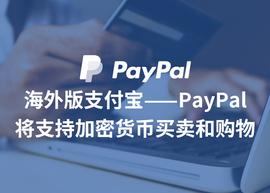 BTC喜提热搜，破年内新高，Paypal成最大推手？_PAL:PAY
