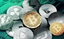 资金向BTC聚集，市场防御性上涨_ARKE:Stonk Market