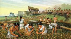 古代农业发展对如今的DeFi变革有哪些启示？_BTC:比特币行情图表