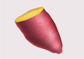 YAM v3重启：需要关注这些重启事项_YAM:Yamv3