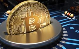 威廉：数据相差悬殊，FOMO与局才是人们买币的最初动力_WIC:WIC价格