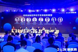 传统金融世界对区块链有何展望？ | 2020新区势峰会_区块链:Grimcoin