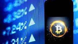 福布斯：加密钱包数据显示比特币处于“牛犊”阶段_比特币:Coinone