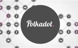 关于Polkadot你需要知道这些_Polkadot:SDT