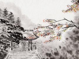 继续回吐涨幅，比特币和DeFi这两天经历了什么？_INK:LINK