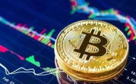 一件悲伤的事，你跑赢比特币了吗？_WEB:flokiceo币最新消息
