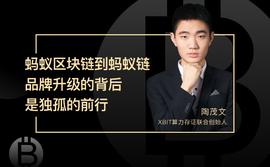 从蚂蚁区块链到蚂蚁链，品牌升级的背后，是探索者在独孤的前行_ETH:区块链的未来发展前景与应用