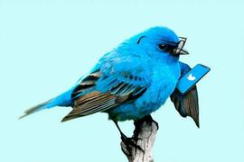 从Twitter比特币看密码货币在监管下合规发行的必要性_TWI:Witnet