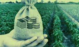 DeFi的国产之光dForce，离风口就差个白皮书？_DFO:dforce币最新消息