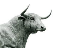 Pantera Capital：我们目前处于加密货币牛市早期，竞争币表现将更佳_EOS:defi币种