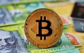 报告：哪家加密交易平台接收了最多的非法加密资金？_DVI:DVILLE
