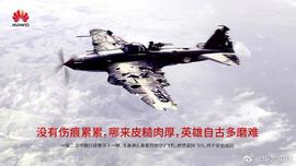 一个华为被封杀，还有这些科技公司扛起国产替代脊梁_比特币:MAP