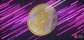 产量减半和SegWit使用增加使比特币区块大小创历史新高_比特币:POW