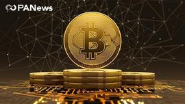 获奖文章 | ?比特币减半前：交易资金减少5.6万枚，大户和散户资金流向相反_BTC:KEX