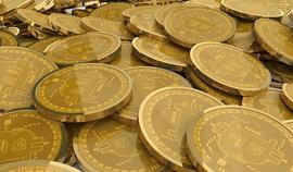 一次交易员选拔曝光的币圈现状：42.4%投资者资产低于0.5BTC，3年以上“老韭菜”占比不到14%_BTC:BITC