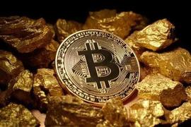 凯叔观点：比特币不是避险资产的7个理由_稳定币:稳定币代表什么动物