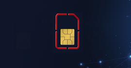 口袋里的敌人：SIM卡攻击_INFO:DAILYS币