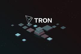 一场「波场就是垃圾币」引发的争论：区块链项目的价值标准是什么？_TRX:Wrapped TRON