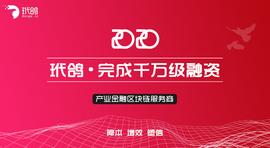 星球首发 | 获中装建设千万元融资，「玳鸽」要用区块链解决企业贷款融资难题_区块链:Baby Yoda Finance