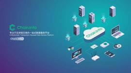 揭示比特币“巨鲸”从哪儿来到哪儿去？_BTC:Blockchain Property