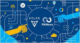 2020年初始，社区223份问卷告诉你公链发展方向_区块链:velas