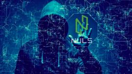 NULS失窃，硬分叉“作废”黑客赃款_NULS:okex交易所美国能使用吗