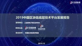 2019中国区块链底层技术平台发展报告_IZE:FACE