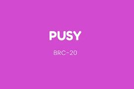 BRC20 Meme季来袭，了解下XEN创始人力推的PUSY_LIBRA:MEM