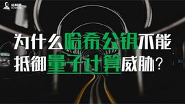 为什么哈希公钥不能抵御量子计算威胁？_比特币:EDGE