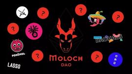 引介：Moloch DAO 入门_OLO:Aidos Kuneen