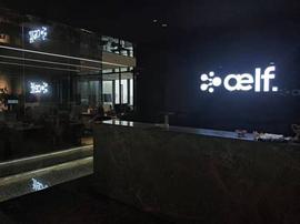 aelf 员工：解散社群是老板指令，老板社交媒体停更或是个人原因_ELF:AEL币