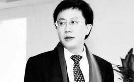 “先锋”张振新，未了区块链_区块链:INS