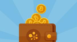 行情日报：资金盘项目大揭秘_USD:btc价格今日行情usdt