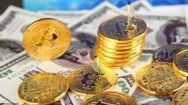 比特币减半对价格影响的统计学研究_加密货币:Dogestribute