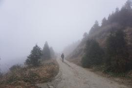 险峰失算：炒币风潮下的年轻人_BTC:Gamblica