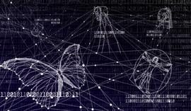 为什么用日活用户数来衡量 DApp 使用状况不科学？_JIM:STIMMY币