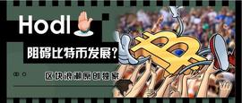 囤币会阻碍比特币的发展？_HODL:亚马逊