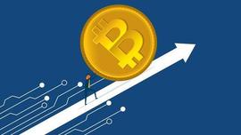 稳定币3.0报告：新的历史使命和竞争格局_稳定币:数字资产有哪些类型