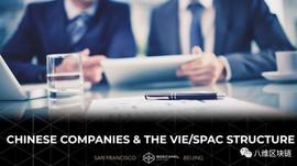 红筹上市的新选择——VIE和SPAC架构的前世今生｜八维视野_SEC:tron