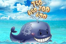 fee.org还是Coinbase：85万BTC转账背后的庐山真面目_ORG:OIN