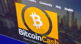 BCH分叉之争，Bitcoin Cash ABC与Bitcoin SV的烧钱战？_COI:TCOIN