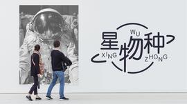 让基金业绩可验证，「MatrixONE」想建立互信的数字资产管理系统_LGO:MAT
