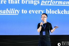 Taxa Network创始人TF Guo：通过Layer2的链下网络，实现区块链的隐私、性能、易用 | 2018 星球日报 P.O.D大会_AXA:DAPP