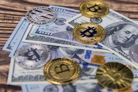 波士顿大学报告：ICO投资者人均回报率达82％，持币仅16天_CAR:CEO